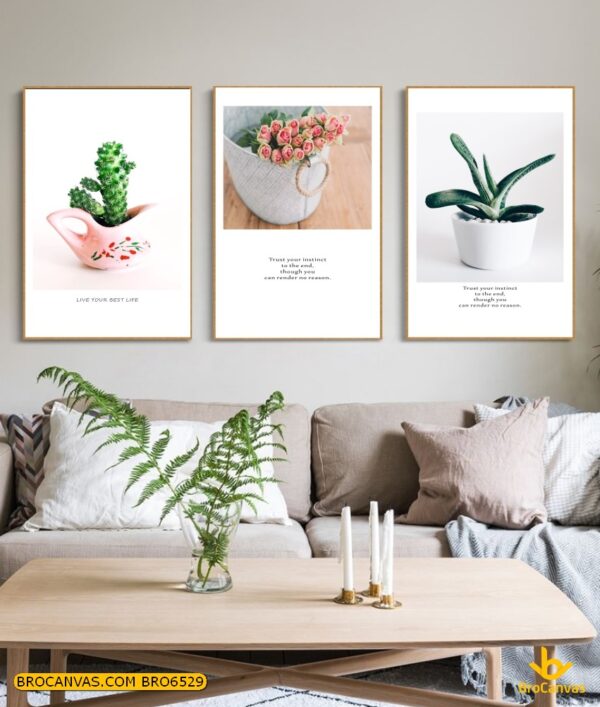 BRO6529 Tranh Những Chậu Hoa Dễ Thương Decor Nhà Cửa Phòng Khách